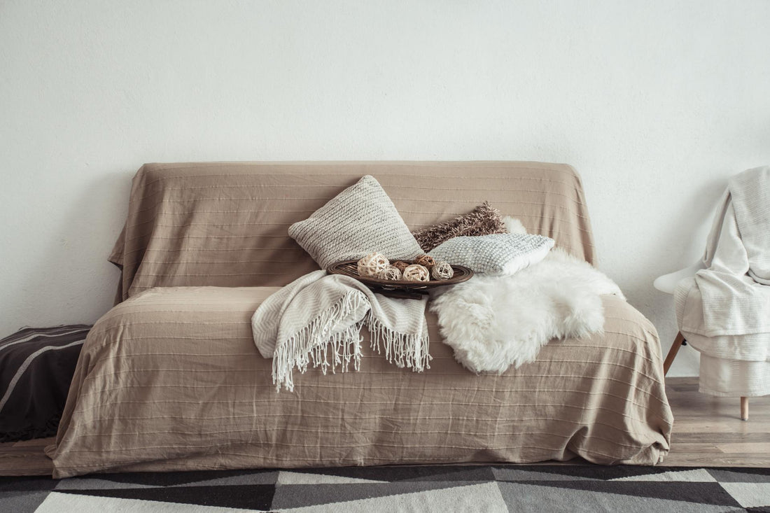 DayBed vs Sofa Bed: Which Is Better? - Shohaus